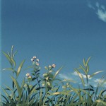 gardener's Avatar