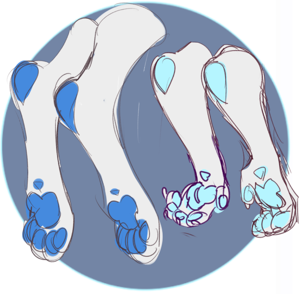 Bi-Color Paws