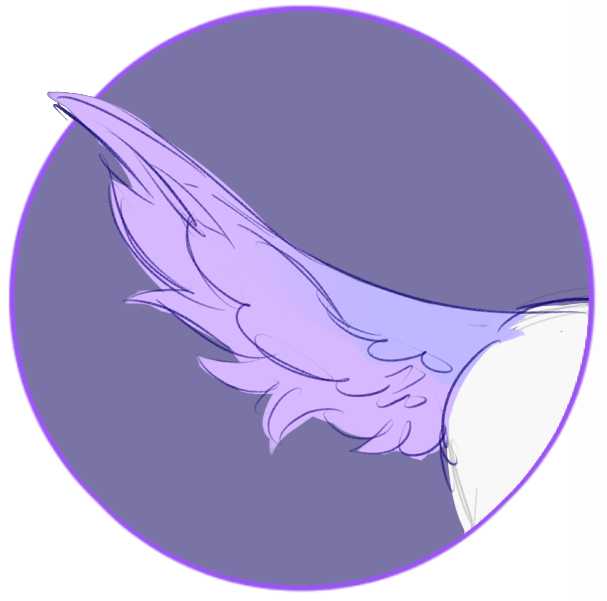 Sail Tail