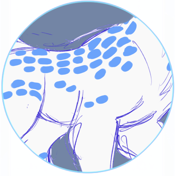 Condensed Spots
