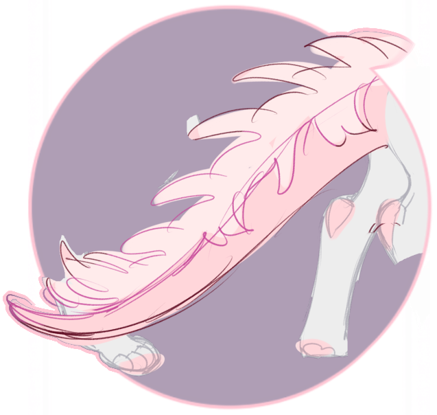 Salamander Tail