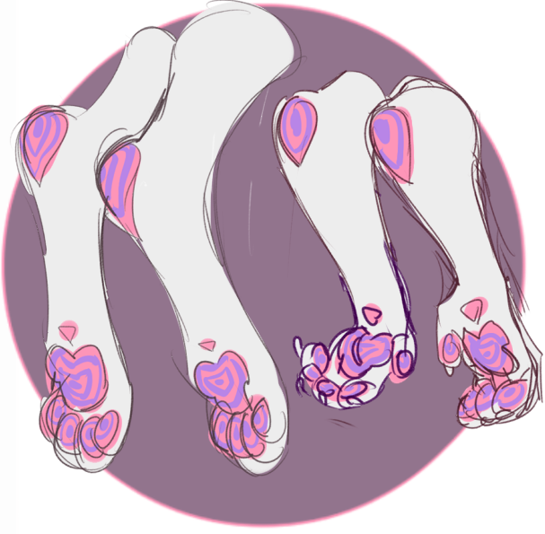 Hypnotized Paws